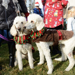 15th Annual Pooch Parade